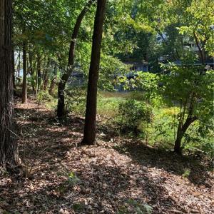 Photo #3 of Lot 9R Eagle Pointe, Norwood, NC 1.1 acres