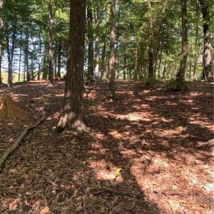 Photo #4 of Lot 9R Eagle Pointe, Norwood, NC 1.1 acres