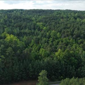 Photo #5 of Jeremiah Run, Lynch Station, VA 6.3 acres