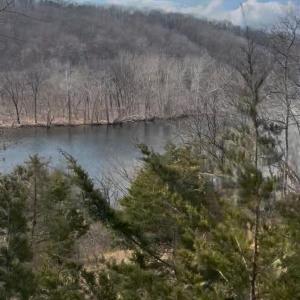 Photo #34 of 426 Burgess Road, Madison Heights, VA 43.7 acres