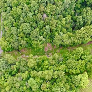 Photo #59 of Stewartsville Rd, Vinton, VA 17.5 acres