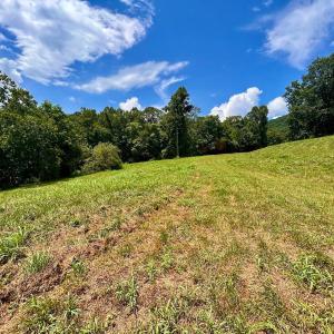 Photo #53 of Stewartsville Rd, Vinton, VA 17.5 acres
