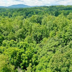 Photo #7 of Stewartsville Rd, Vinton, VA 17.5 acres