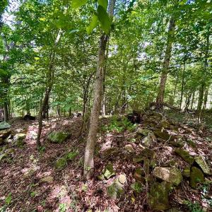 Photo #41 of Stewartsville Rd, Vinton, VA 17.5 acres