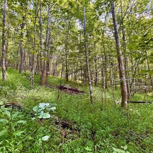 Photo #9 of Stewartsville Rd, Vinton, VA 17.5 acres
