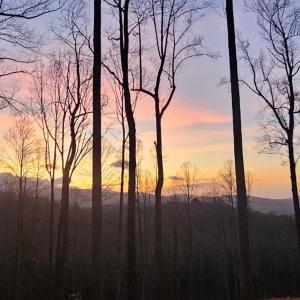 Photo #2 of Skyline Above Reservoir, Amherst, VA 145.4 acres