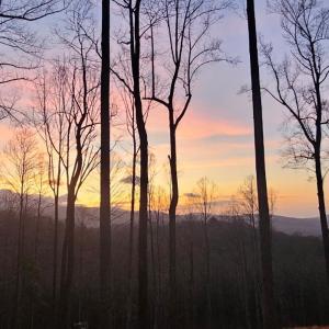 Photo #2 of Skyline Above Reservoir, Amherst, VA 145.4 acres