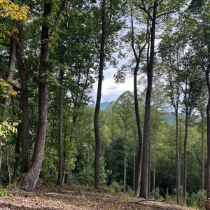 Photo #8 of Skyline Above Reservoir, Amherst, VA 145.4 acres