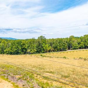 Photo #31 of Waughs Ferry Crossing, Monroe, VA 29.3 acres