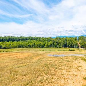 Photo #30 of Waughs Ferry Crossing, Monroe, VA 29.3 acres