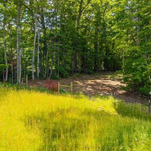 Photo #27 of Waughs Ferry Crossing, Monroe, VA 29.3 acres