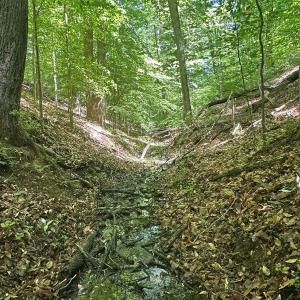 Photo #31 of Jones Overlook, Howardsville, VA 8.2 acres
