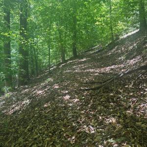 Photo #28 of Jones Overlook, Howardsville, VA 8.2 acres