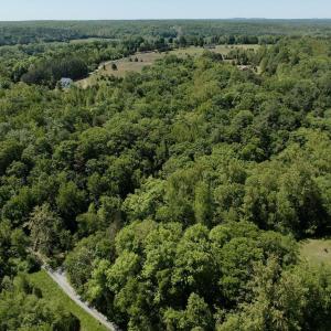 Photo #8 of Jones Overlook, Howardsville, VA 8.2 acres