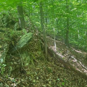 Photo #20 of Jones Overlook, Howardsville, VA 8.2 acres