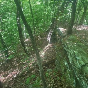 Photo #7 of Jones Overlook, Howardsville, VA 8.2 acres