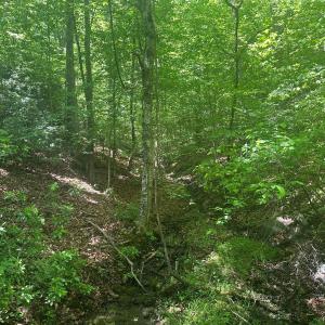 Photo #25 of Jones Overlook, Howardsville, VA 8.2 acres