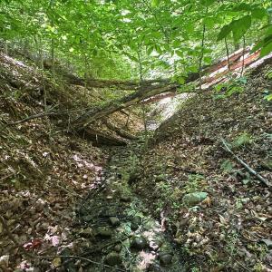 Photo #21 of Jones Overlook, Howardsville, VA 8.2 acres