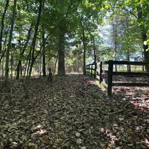 Photo #17 of Jones Overlook, Howardsville, VA 8.2 acres