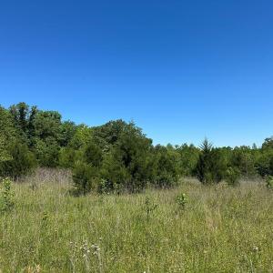 Photo #4 of Jones Overlook, Howardsville, VA 8.2 acres