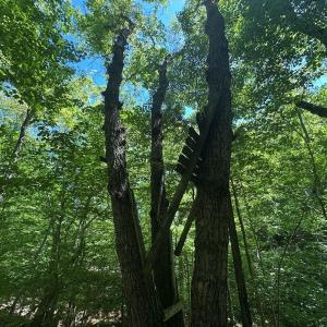 Photo #23 of Jones Overlook, Howardsville, VA 8.2 acres