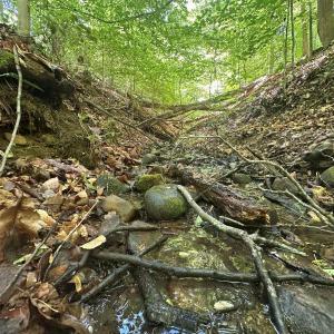 Photo #6 of Jones Overlook, Howardsville, VA 8.2 acres