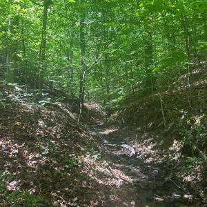 Photo #18 of Jones Overlook, Howardsville, VA 8.2 acres