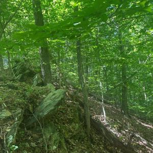 Photo #30 of Jones Overlook, Howardsville, VA 8.2 acres