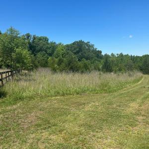 Photo #13 of Jones Overlook, Howardsville, VA 8.2 acres