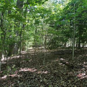 Photo #22 of Jones Overlook, Howardsville, VA 8.2 acres