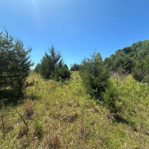 Photo #16 of Jones Overlook, Howardsville, VA 8.2 acres