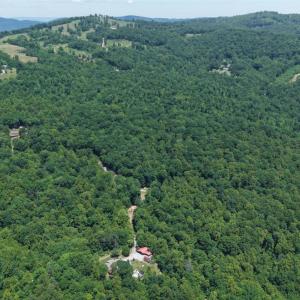 Photo #3 of Hickory Falls Road, Blue Ridge, VA 3.0 acres
