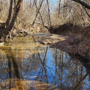 Photo #1 of Cameron Lane, Nathalie, VA 62.4 acres