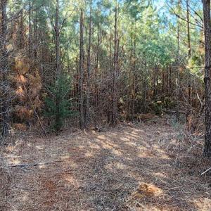 Photo #7 of Cameron Lane, Nathalie, VA 62.4 acres
