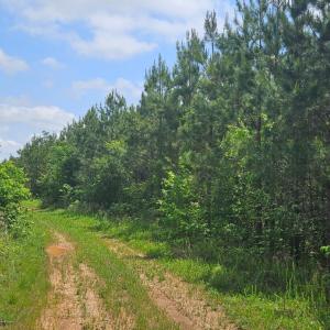Photo #8 of Cameron Lane, Nathalie, VA 62.4 acres