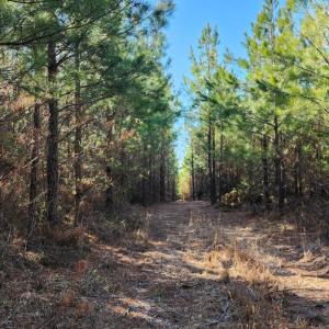 Photo #5 of Cameron Lane, Nathalie, VA 62.4 acres