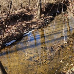 Photo #3 of Cameron Lane, Nathalie, VA 62.4 acres
