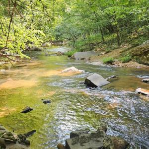 Photo #1 of Earley Farm Road, Madison Heights, VA 58.4 acres