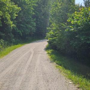 Photo #3 of Earley Farm Road, Madison Heights, VA 58.4 acres