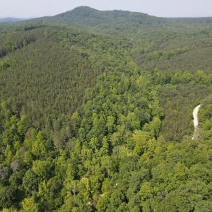 Photo #6 of Earley Farm Road, Madison Heights, VA 58.4 acres