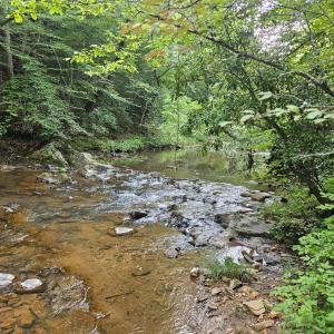 Photo #4 of Earley Farm Road, Madison Heights, VA 58.4 acres