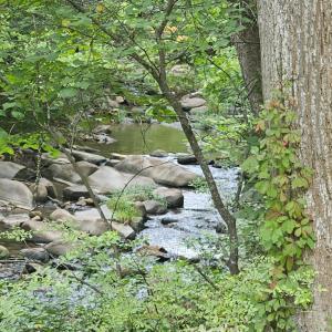 Photo #2 of Earley Farm Road, Madison Heights, VA 66.1 acres