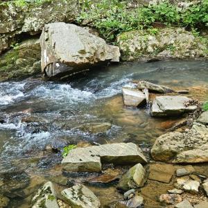 Photo #1 of Earley Farm Road, Madison Heights, VA 66.1 acres