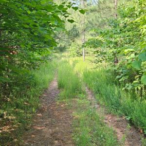 Photo #7 of Earley Farm Road, Madison Heights, VA 66.1 acres