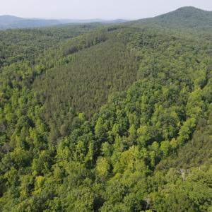 Photo #10 of Earley Farm Road, Madison Heights, VA 66.1 acres