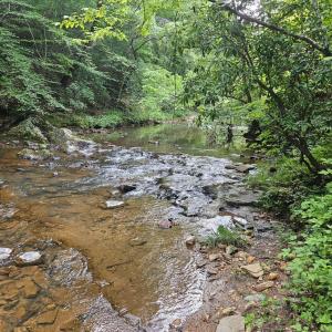 Photo #3 of Earley Farm Road, Madison Heights, VA 66.1 acres
