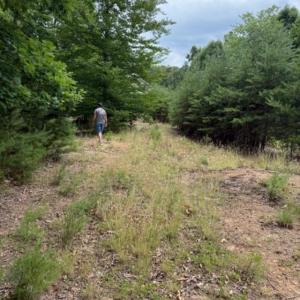 Photo #4 of 37 Waterview Court, Gretna, VA 0.9 acres