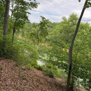 Photo #5 of 37 Waterview Court, Gretna, VA 0.9 acres