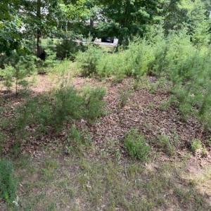 Photo #2 of 37 Waterview Court, Gretna, VA 0.9 acres