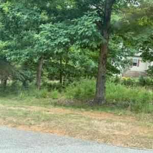 Photo #3 of 37 Waterview Court, Gretna, VA 0.9 acres